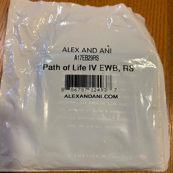 ALEX AND ANI Path of Life Charm & Bracelet - Picture 2 of 3